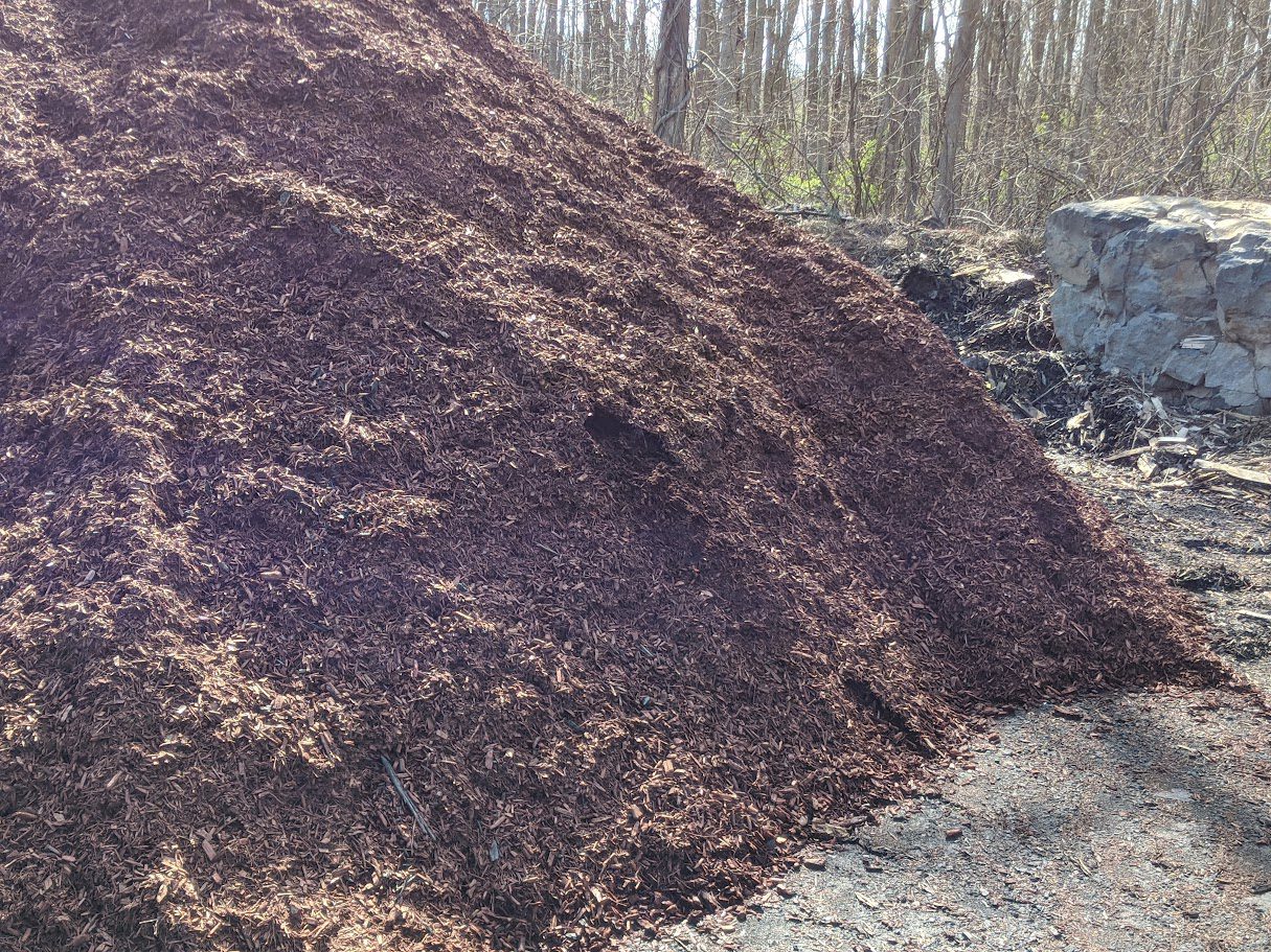 Large pile of brown shredded mulch outdoors near a wooded area, with natural light highlighting the texture of the mulch.